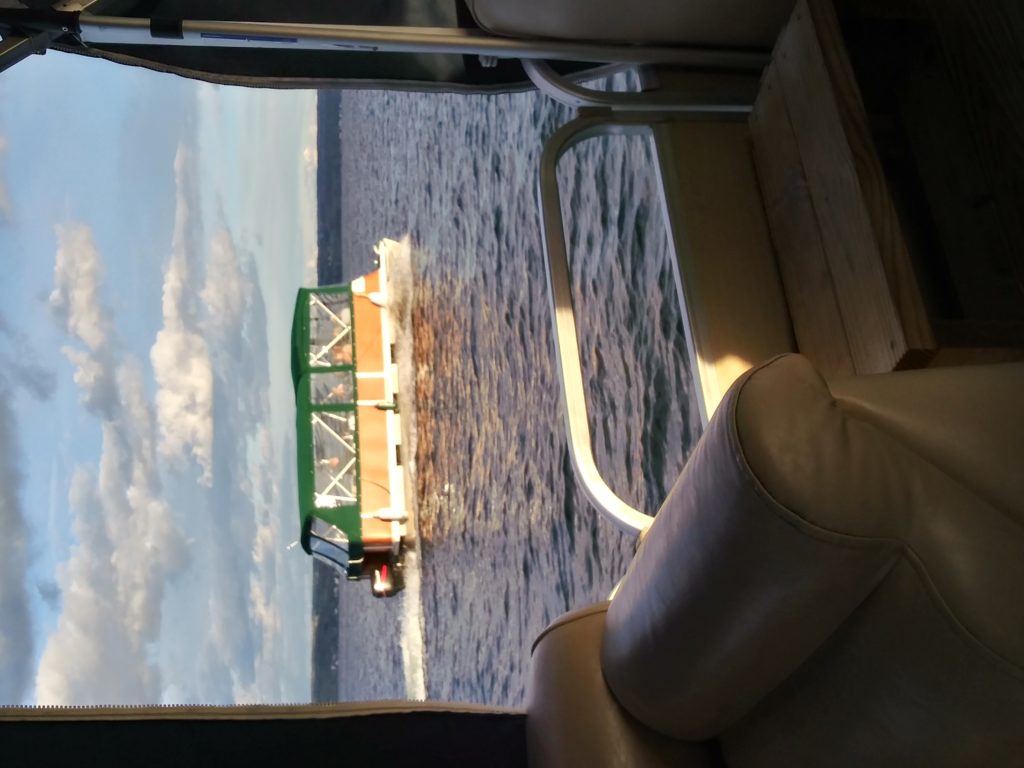 A pontoon boat with a green canopy speeds across Cayuga Lake's waters. - Bianconi Tours